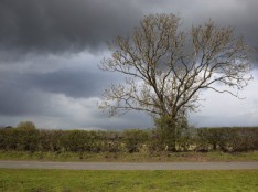 Storm Damage