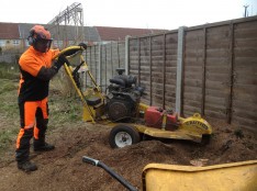 Stump Removal